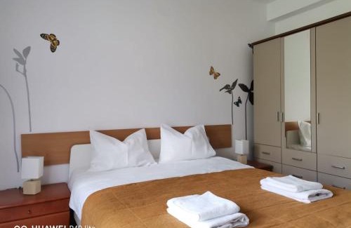 Cioplea Apartamento | Antonia, Apartament Predeal