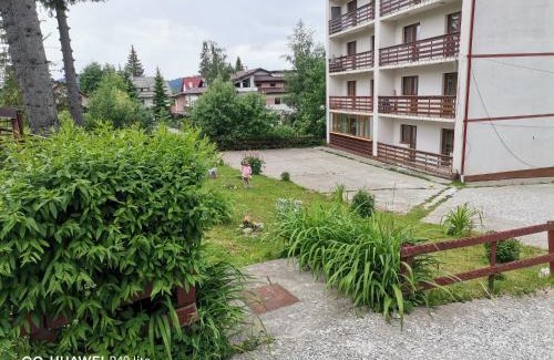 Cioplea Apartamento | Antonia, Apartament Predeal