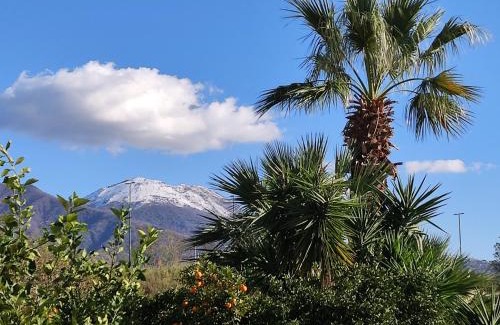 Naples Cama Y Desayuno | Antoniet
