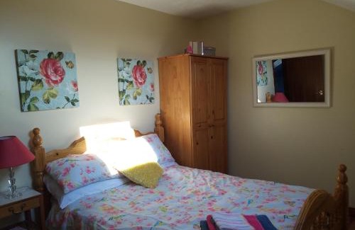 Boardmills Cama Y Desayuno | Antrim Heights Estate