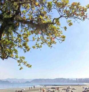 Ponta da Praia Apartamento | Ap em frente ao aquário - ponta da praia
