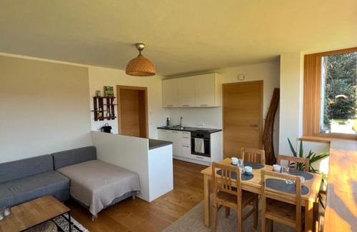 Saalfelden am Steinernen Meer Apartamento | Apartment Steinernes Meer