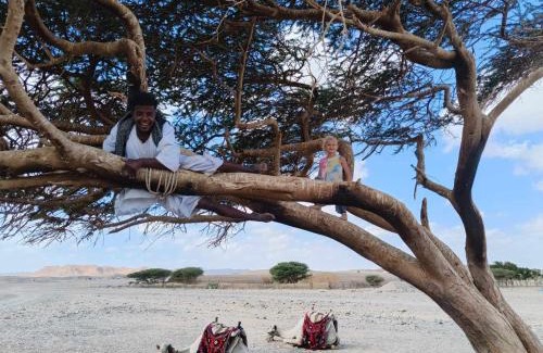 Marsa Alam Otro | Apadi camp