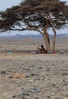 Marsa Alam Otro | Apadi camp