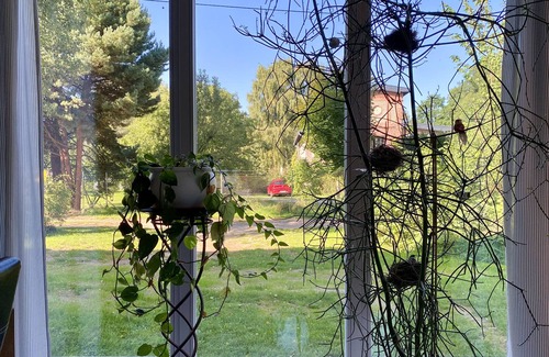 Guelzow Apartamento | Apartment "Bird's Nest" with a large garden - peace and nature near the Baltic Sea