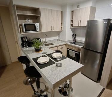 Chillan Apartamento | APART CENTRO CHILLAN - Departamentos Diarios