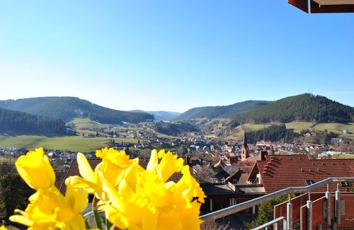 Baiersbronn Apartamento | Apart Hotel Goldener Hahn Baiersbronn, Ferienwohnungen | Frühstück, Sauna & Indoorpool
