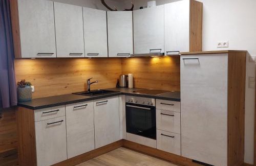 Hart im Zillertal Apartamento | Apart Timeout