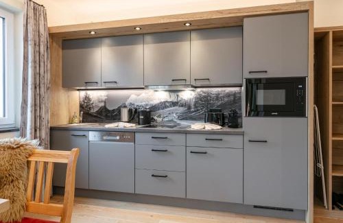 Haus im Ennstal Apartamento | Apart33 Top 1-28