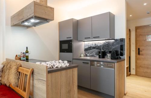 Haus im Ennstal Apartamento | Apart33 Top 1-29
