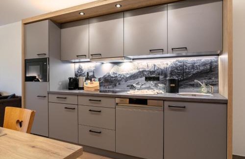 Haus im Ennstal Apartamento | Apart33 Top 2-12