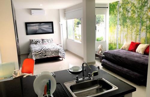 Cali Apartamento | Apartaestudio Arboleda del Ingenio