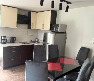 Miedzybrodzie Zywieckie Apartamento | Apartament przy plaży