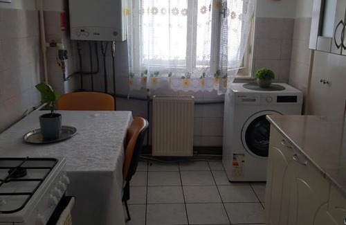 Emanoil Gojdu Apartamento | Apartament încântător,situat în centrul oraşului