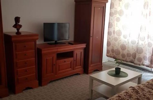 Emanoil Gojdu Apartamento | Apartament încântător,situat în centrul oraşului