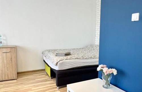 Lublin Apartamento | Apartament Śliwińskiego 4