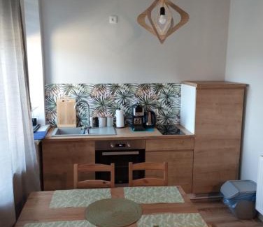 Ladek-Zdroj Apartamento | Apartament 103
