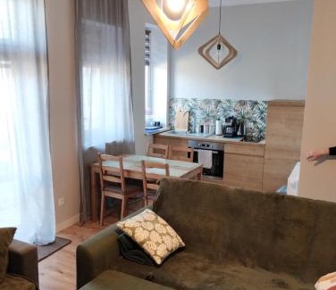 Ladek-Zdroj Apartamento | Apartament 103