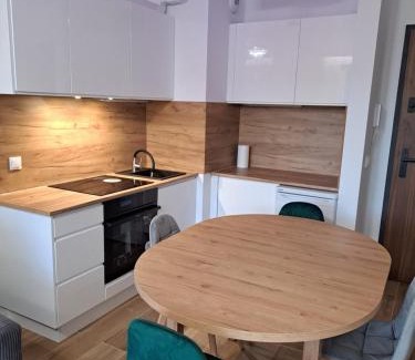 Olsztyn Apartamento | Apartament 120 Centaurus SUPER VIP