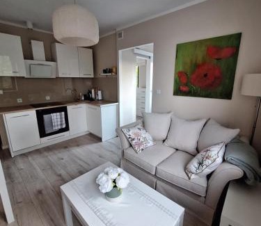 Drawsko Pomorskie Apartamento | Apartament 3