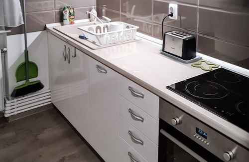 Emanoil Gojdu Apartamento | Apartament Alina