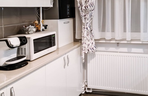 Emanoil Gojdu Apartamento | Apartament Alina