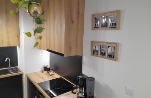 Zamosc Apartamento | Apartament Amelia