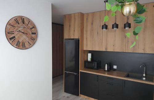 Zamosc Apartamento | Apartament Amelia