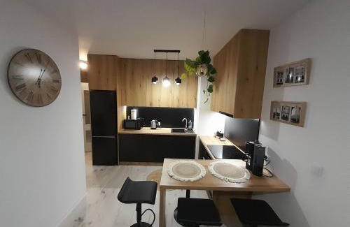 Zamosc Apartamento | Apartament Amelia