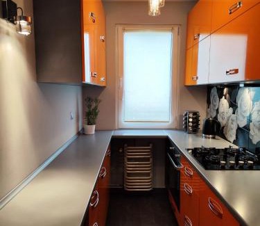 Zgorzelec Apartamento | Apartament Arena