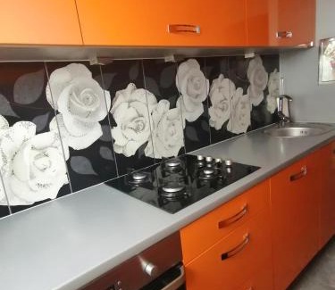 Zgorzelec Apartamento | Apartament Arena