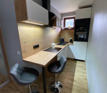 Stronie Slaskie Apartamento | Apartament Artemida Kletno