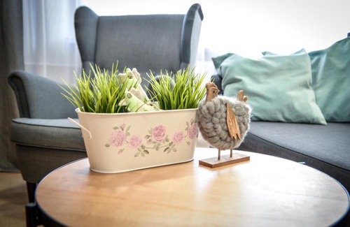 Zator Apartamento | Apartament AVIATOR