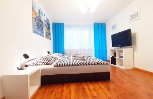 Zielona Gora Apartamento | Apartament Bachusik