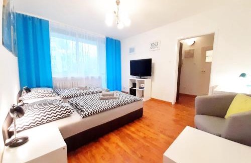 Zielona Gora Apartamento | Apartament Bachusik