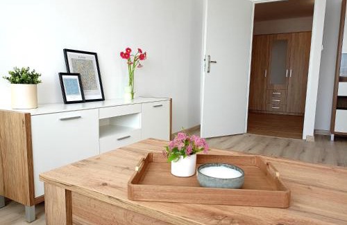 Bilgoraj Apartamento | Apartament Biłgorajski w Śródmieściu