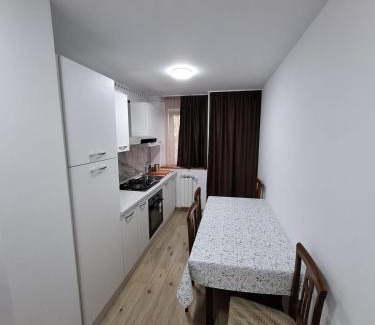 Fagaras Apartamento | Apartament Bianca