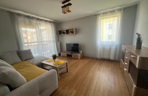 Pruszcz Gdanski Apartamento | Apartament Borkowo