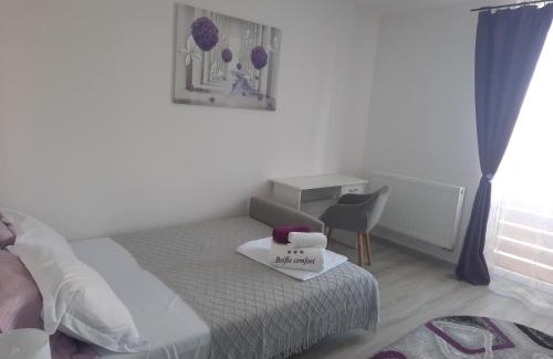 Tirgu Mures Apartamento | Apartament BriFla Comfort Mureș