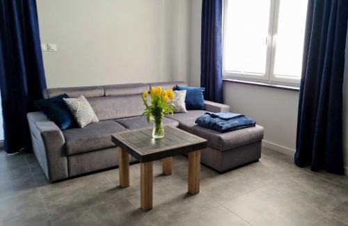 Rusinowo Apartamento | Apartament Brzózka