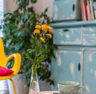 Osiedle Grunwaldzkie Apartamento | Apartament Bulwary Łyna przy Starym Mieście