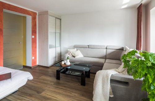 Niedzica Apartamento | Apartament Castle & Lake Niedzica zarezerwuj na podhalami pl