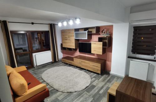 Tirgu Jiu Apartamento | Apartament - central
