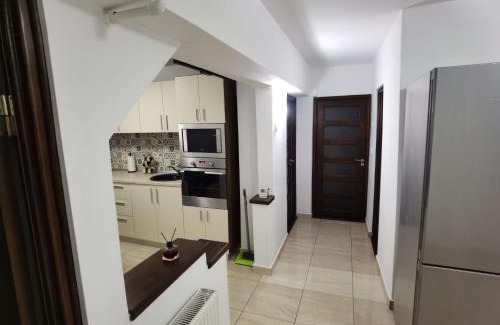 Tirgu Jiu Apartamento | Apartament - central
