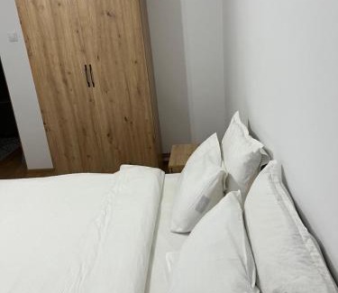 Ramnicu Valcea Apartamento | Apartament centru