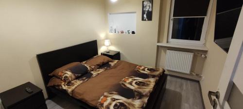 Sosnowiec Apartamento | Apartament CENTRUM