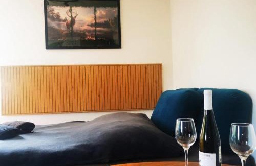 Chelmsko Slaskie Apartamento | Apartament Chełmsko Śląskie