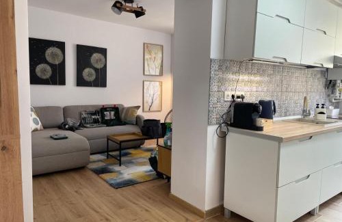 Hunedoara Apartamento | Apartament Corvin 3