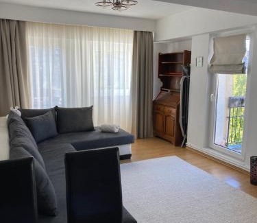 Baia Mare Apartamento | Apartament Cozma