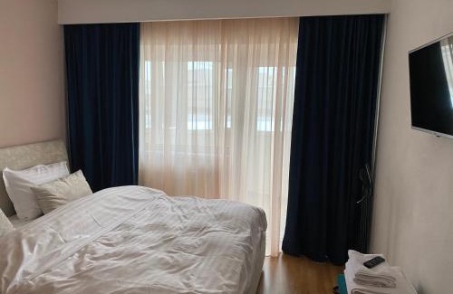Baia Mare Apartamento | Apartament Cozma